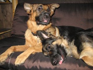 k-jimmy rosi auf couch.jpg