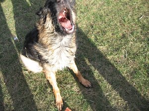 k-jimmyrosistudio 021.jpg