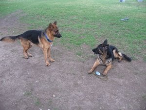 k-jimmyrosistudio 049.jpg