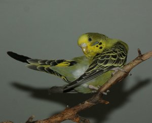 2010_02_03 409_1.JPG