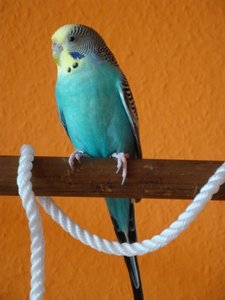 DSC01350.JPG DSC01350.JPG