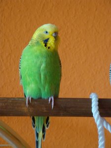 DSC01352.JPG DSC01352.JPG