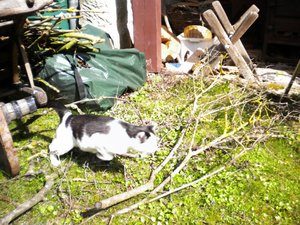 DSCN0268 [800x600].jpg