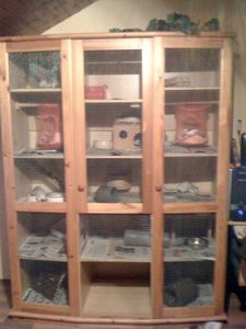 Foto 2 verkleinert.jpg