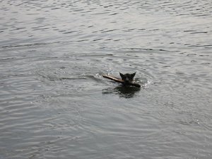 k-soontagimwasser 0075.jpg