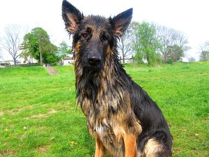 k-soontagimwasser 0065.jpg