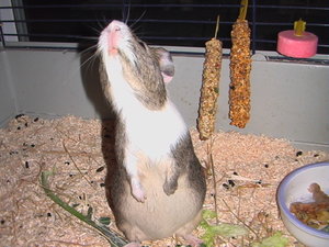 070126Stephanie 068.jpg