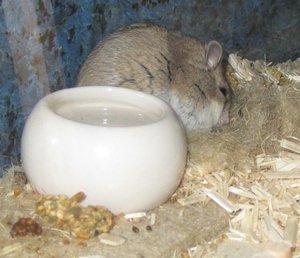 schlaf neben dem wasser.JPG schlaf neben dem wasser.JPG