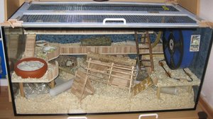 von vorne komplett.JPG