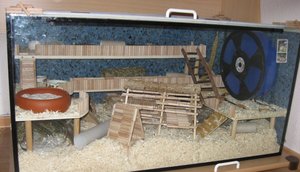 komplett mit gerÃ¼st.JPG