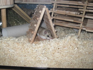 auf zu neuen Abenteuern.JPG