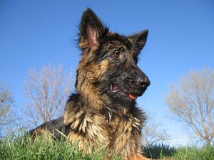 k-ostern2010neckar 038.jpg