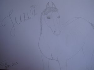 zeichenen 02 001.JPG