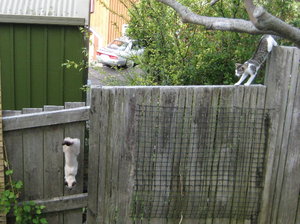 IMG_2457.jpg IMG_2457.jpg