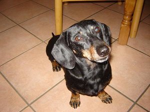 auch in KÃ¼che.jpg