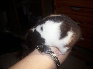 Kamerabilder 219.jpg