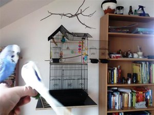 Foto0574 (Small).jpg