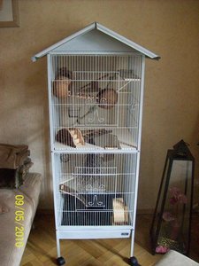 Mein RattenkÃ¤fig 001.jpg