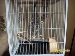 Mein RattenkÃ¤fig 003.jpg