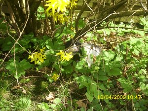 Kamerabilder 019.jpg