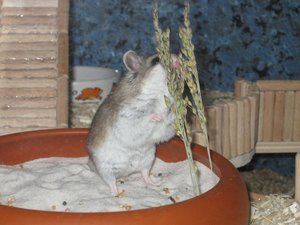 Hiro, interessant.JPG