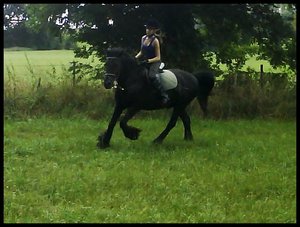 Bruno und ihc im Galopp von vorne ♥.JPG