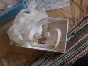 Bilder von NanaÂ´s Beerdigung 003.jpg