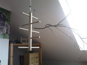 Foto0585 (Small).jpg