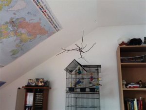 Foto0586 (Small).jpg