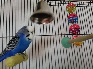 Foto0587 (Small).jpg