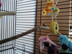 Foto0588 (Small).jpg