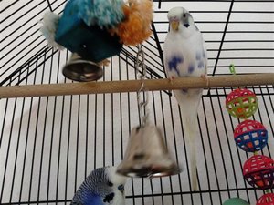 Foto0589 (Small).jpg