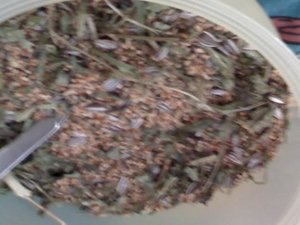 neu 12345678990ÃŸ 269.jpg