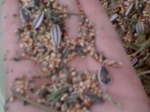 neu 12345678990ÃŸ 266.jpg