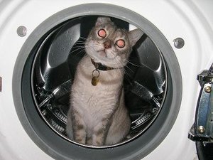 Paris Sommer Herbst 2007 084.JPG