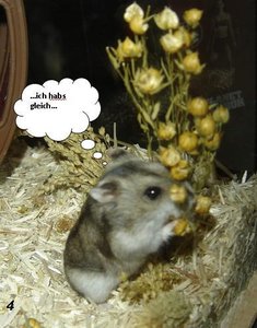 Hamsterstory04.JPG Hamsterstory04.JPG