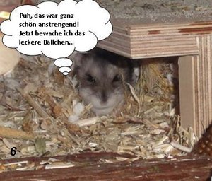 Hamsterstory06.JPG Hamsterstory06.JPG
