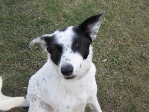 k-rosi 21.feb.10 042.jpg