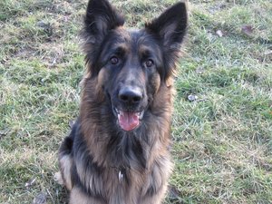 k-rosi 21.feb.10 008.jpg