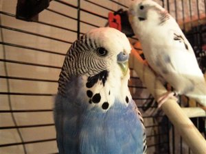 Foto0338 (Small).jpg