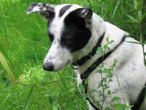 k-parkmitlana 037.jpg