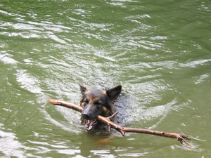 k-parkmitlana 051.jpg