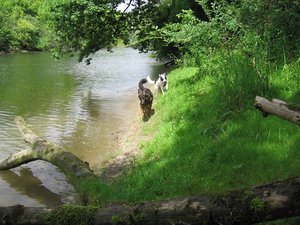 k-parkmitlana 041.jpg