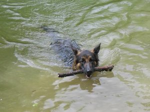 k-parkmitlana 036.jpg