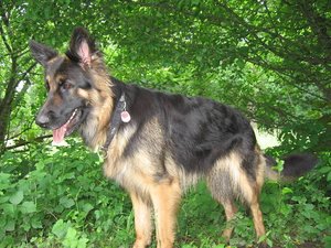 k-parkmitlana 022.jpg