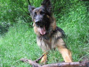 k-parkmitlana 017.jpg