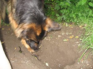 k-parkmitlana 018.jpg