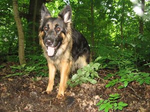 k-parkmitlana 002.jpg