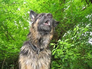 k-parkmitlana 059.jpg