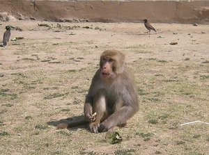 MÃ¤rz April Besuch aus Dtl 193.JPG